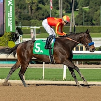 Expora wins the Santa Ynez at Santa Anita.