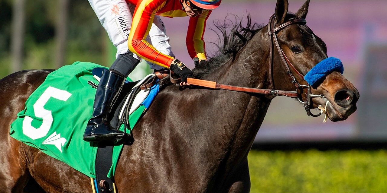 Expora wins the Santa Ynez at Santa Anita.