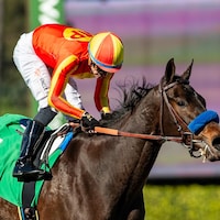 Expora wins the Santa Ynez at Santa Anita.