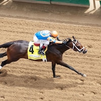 Fierceness winning the Alysheba (G2) at Churchill Downs