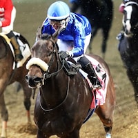 First Resort winning the Kentucky Jockey Club (G2) at Churchill Downs (Photo by Coady Media)
