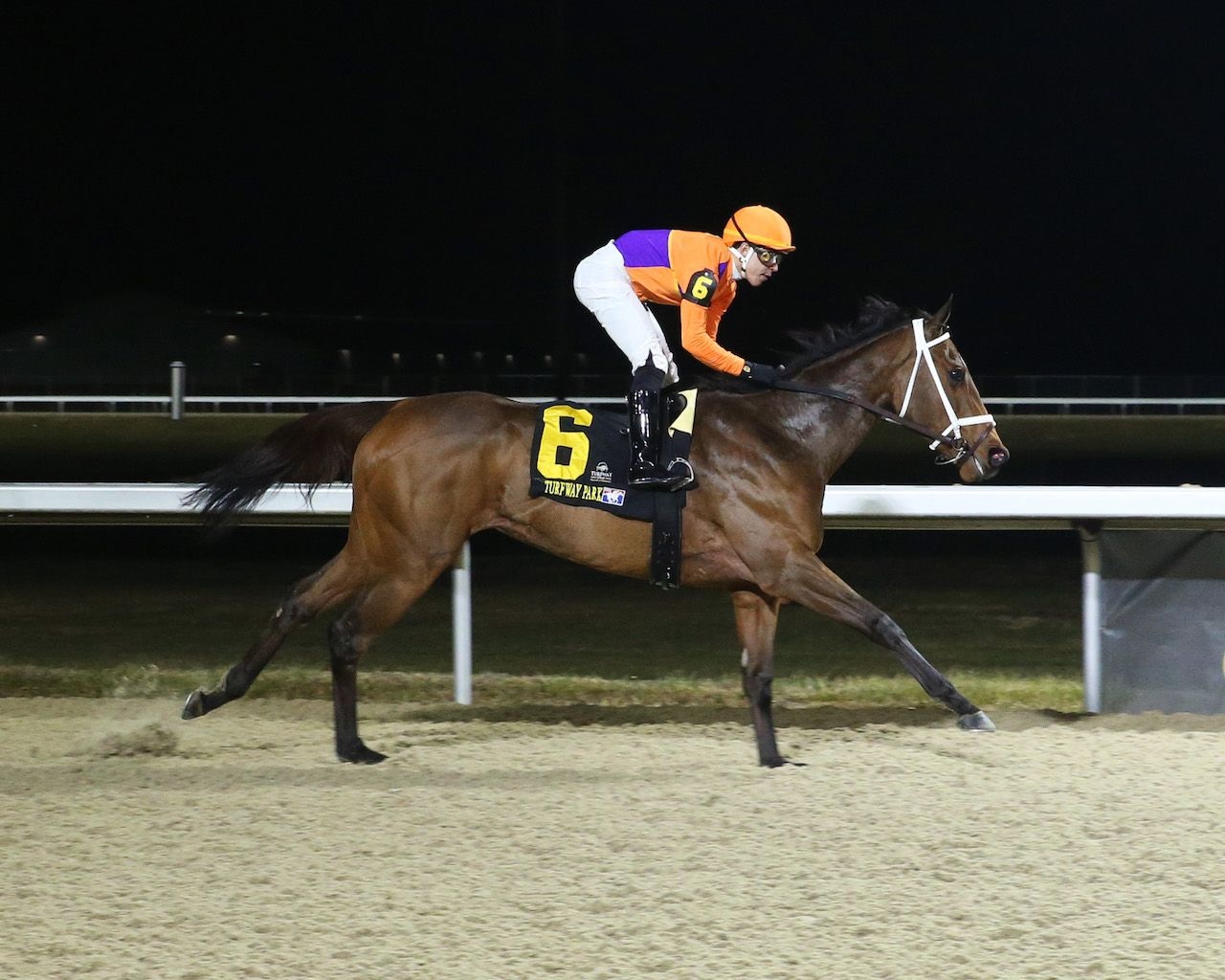 Flashy Gem at Turfway Park 