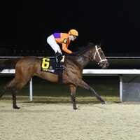 Flashy Gem at Turfway Park