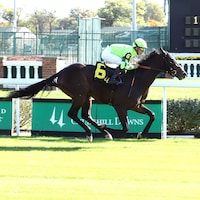 Flying Mohawk wins a turf allowance at Churchill Downs.