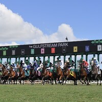Starting gate on Florida Derby Day at Gulfstream Park.