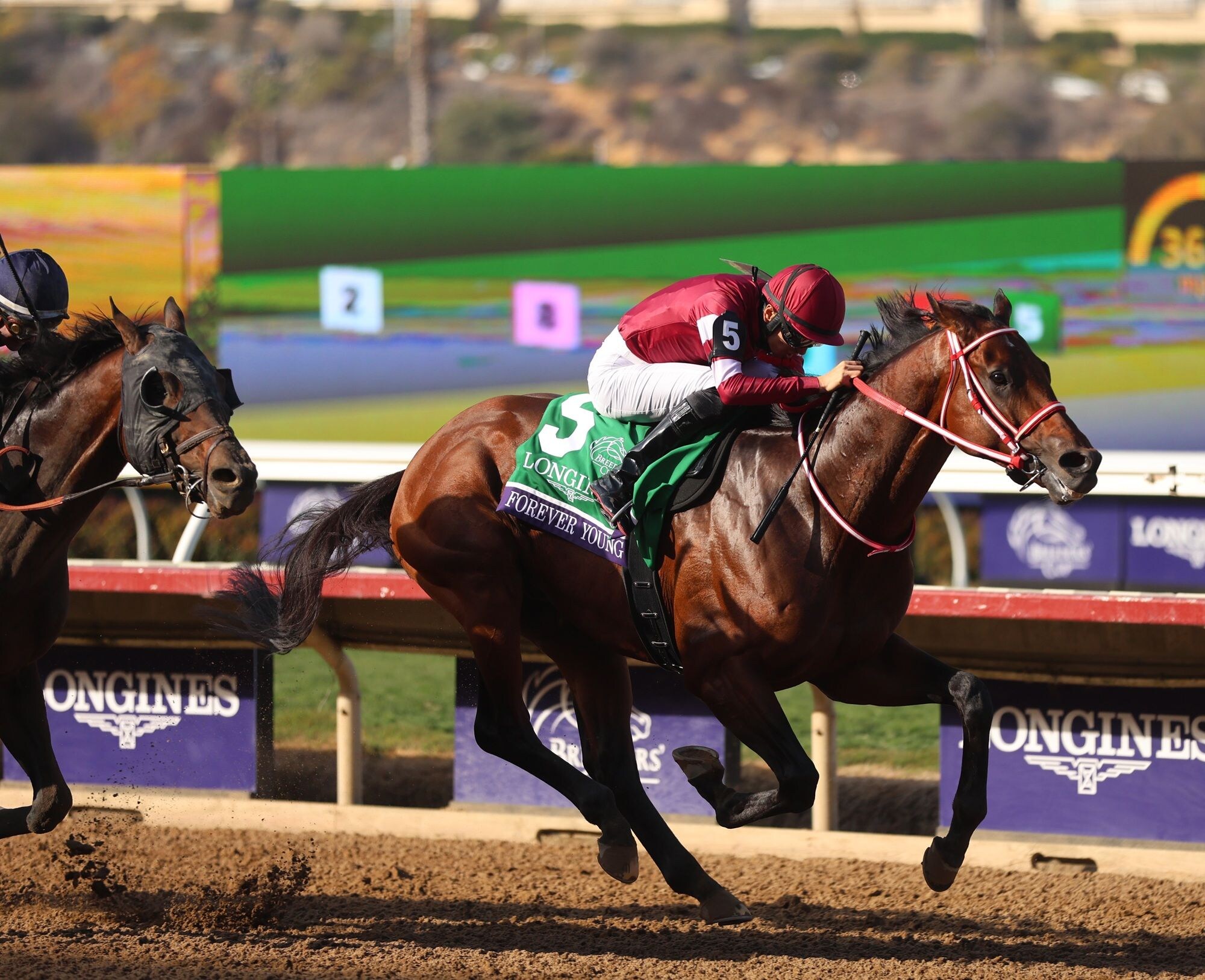 Forever Young winning the Breeders' Cup Classic (G1) at Del Mar