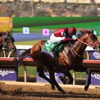Forever Young winning the Breeders' Cup Classic (G1) at Del Mar