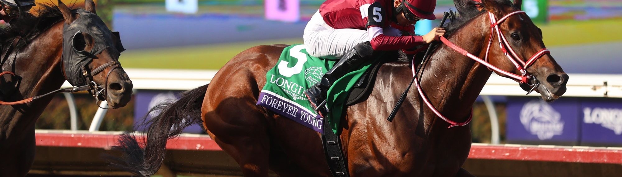 Forever Young winning the Breeders' Cup Classic (G1) at Del Mar