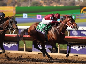 Forever Young winning the Breeders' Cup Classic (G1) at Del Mar