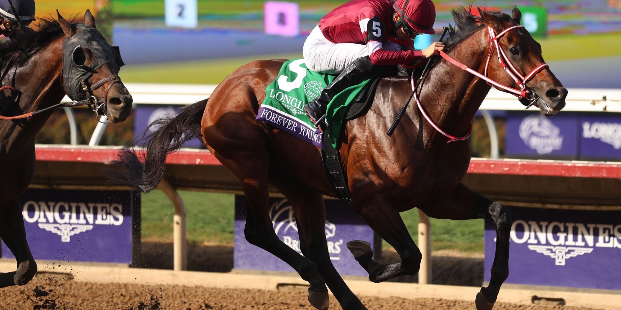 Forever Young winning the Breeders' Cup Classic (G1) at Del Mar