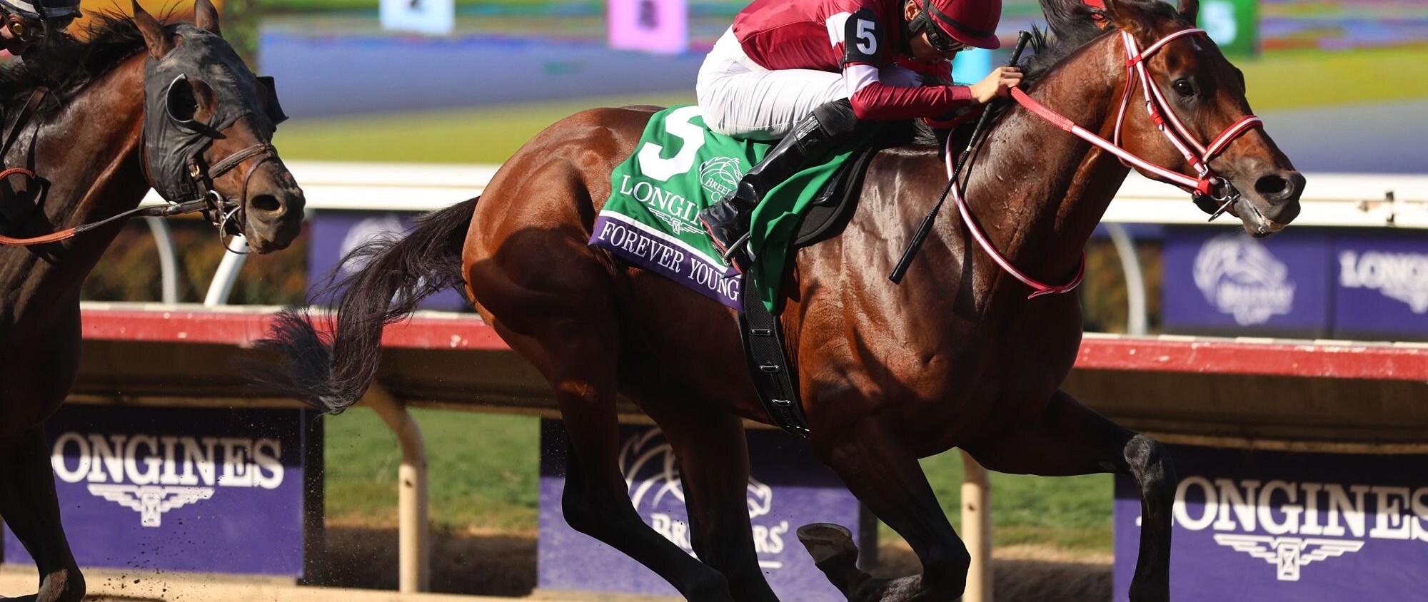 Forever Young winning the Breeders' Cup Classic (G1) at Del Mar