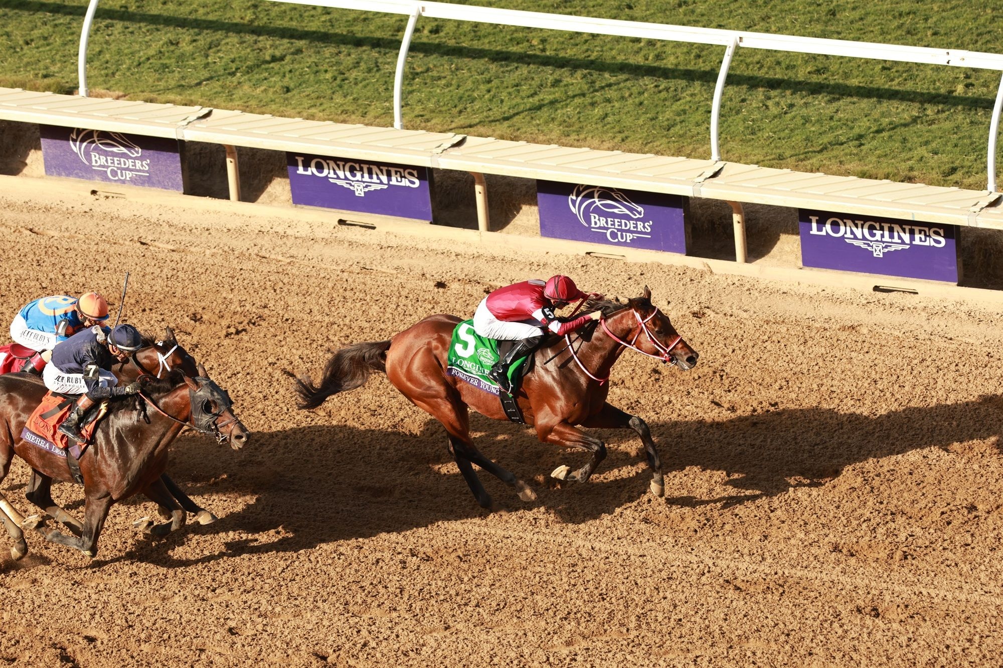 Forever Young winning the Breeders' Cup Classic (G1) at Del Mar