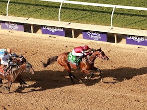 Forever Young winning the Breeders' Cup Classic (G1) at Del Mar