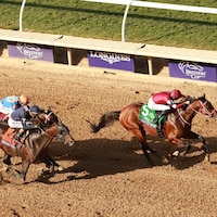 Forever Young winning the Breeders' Cup Classic (G1) at Del Mar