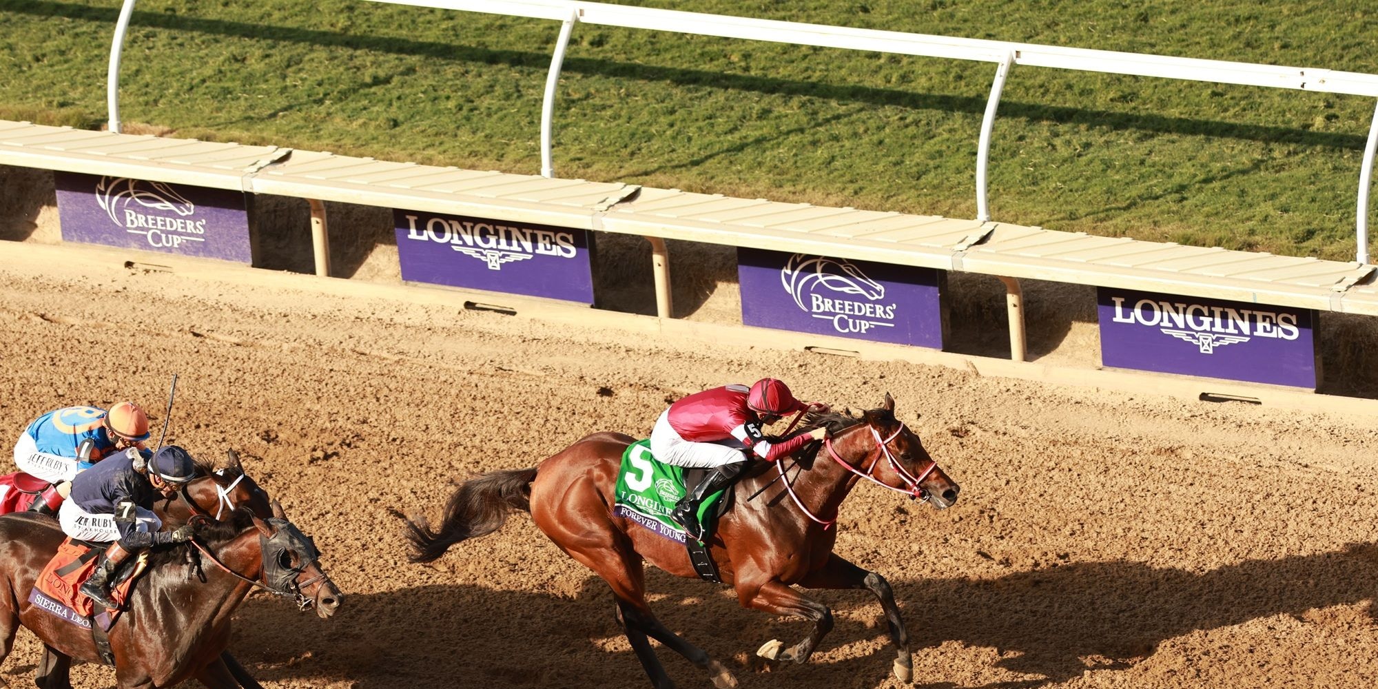 Forever Young winning the Breeders' Cup Classic (G1) at Del Mar