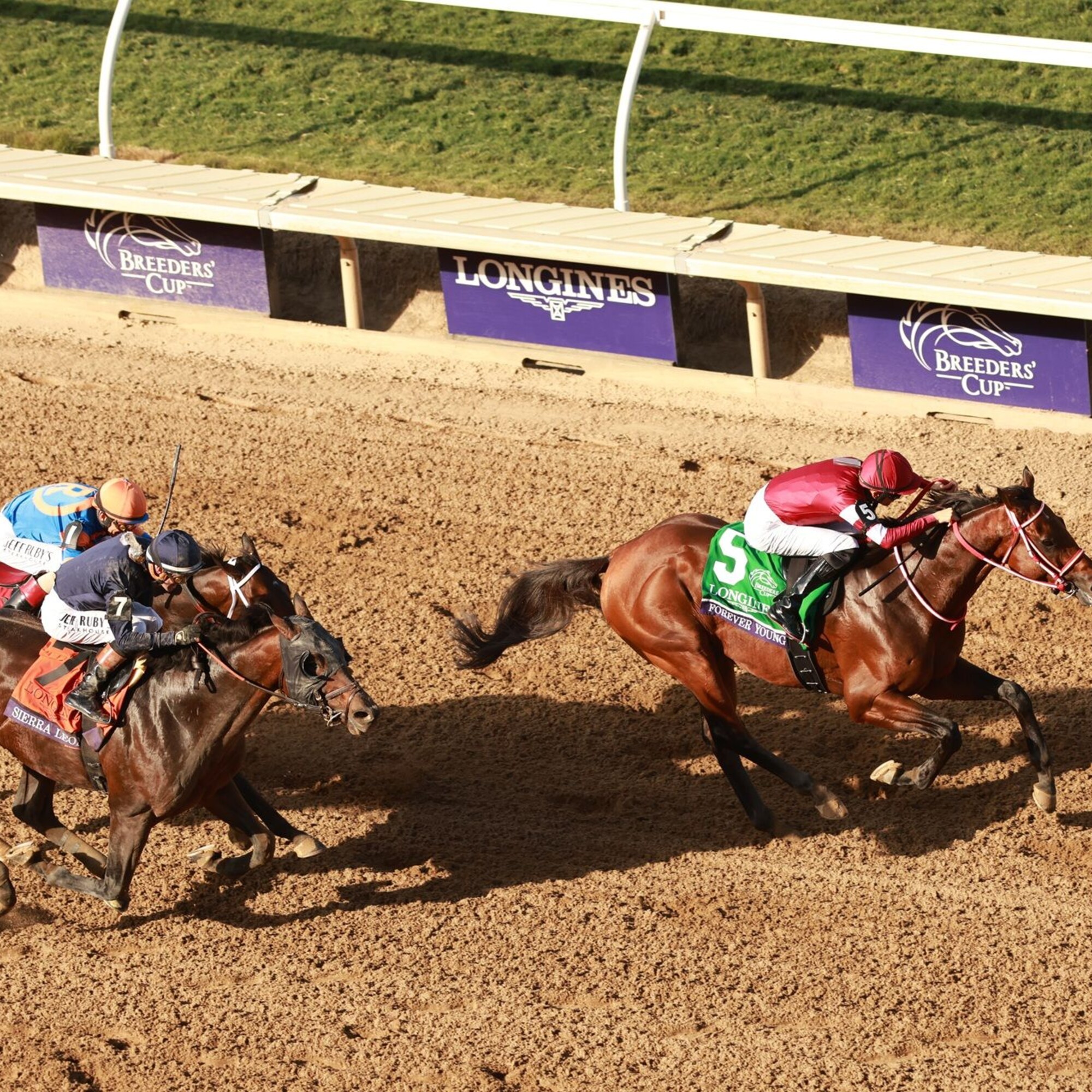Forever Young winning the Breeders' Cup Classic (G1) at Del Mar
