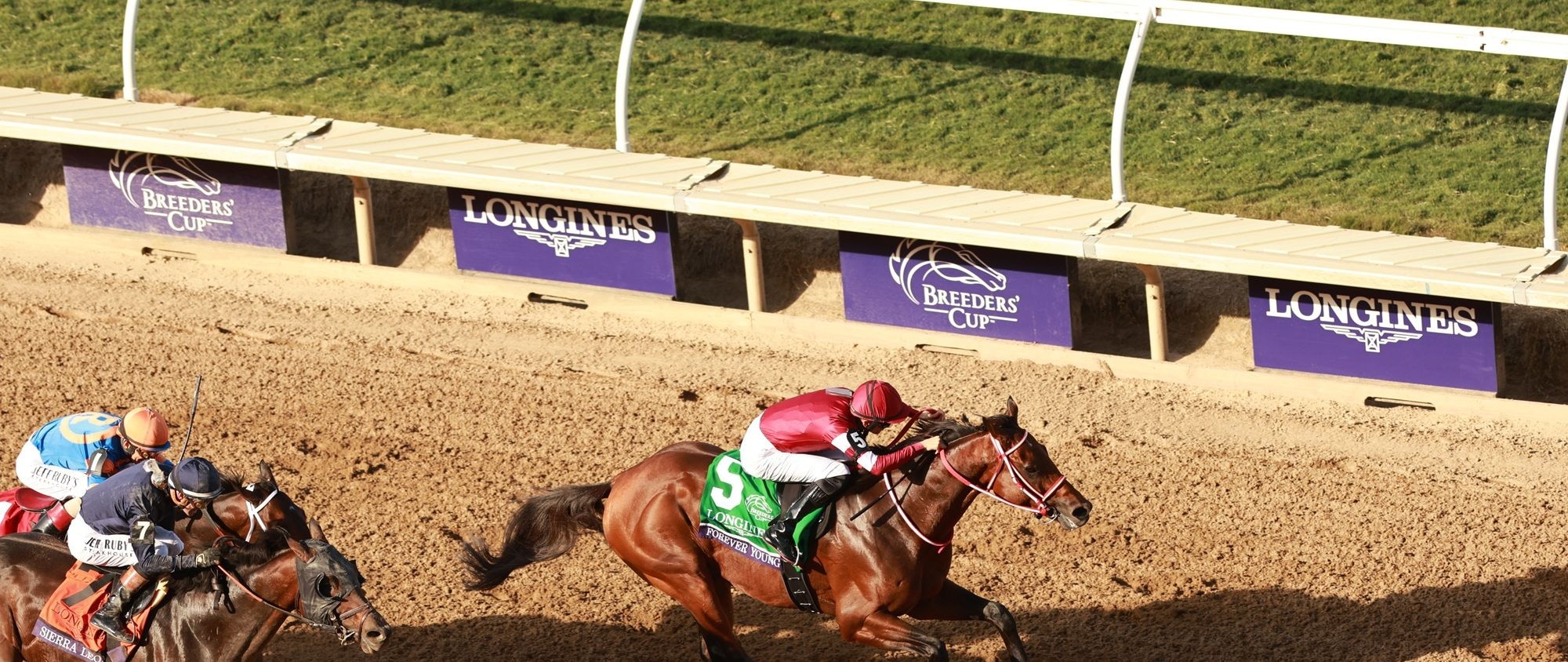Forever Young winning the Breeders' Cup Classic (G1) at Del Mar