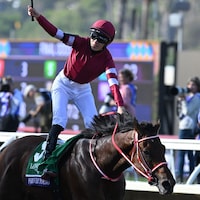 Forever Young winning the Breeders' Cup Classic (G1) at Del Mar