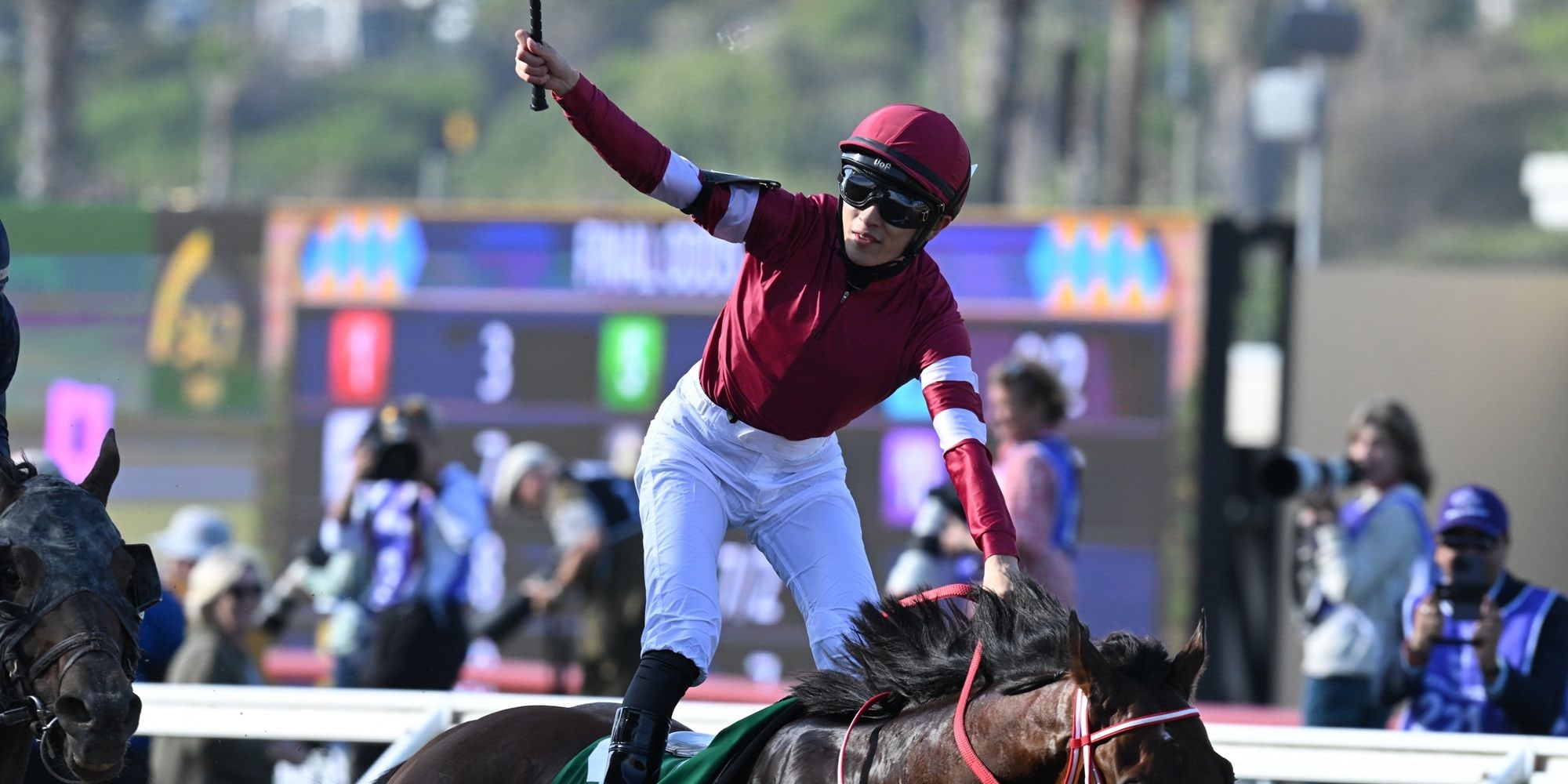 Forever Young winning the Breeders' Cup Classic (G1) at Del Mar