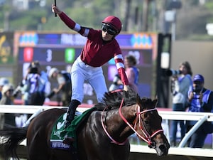 Forever Young winning the Breeders' Cup Classic (G1) at Del Mar