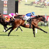 Fort Washington wins the Arlington Million S. at Colonial Downs.