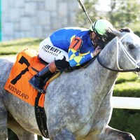 Fulleffort wins at Keeneland.