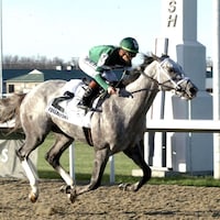 Fulleffort wins the Jeff Ruby Stakes at Turfway Park.