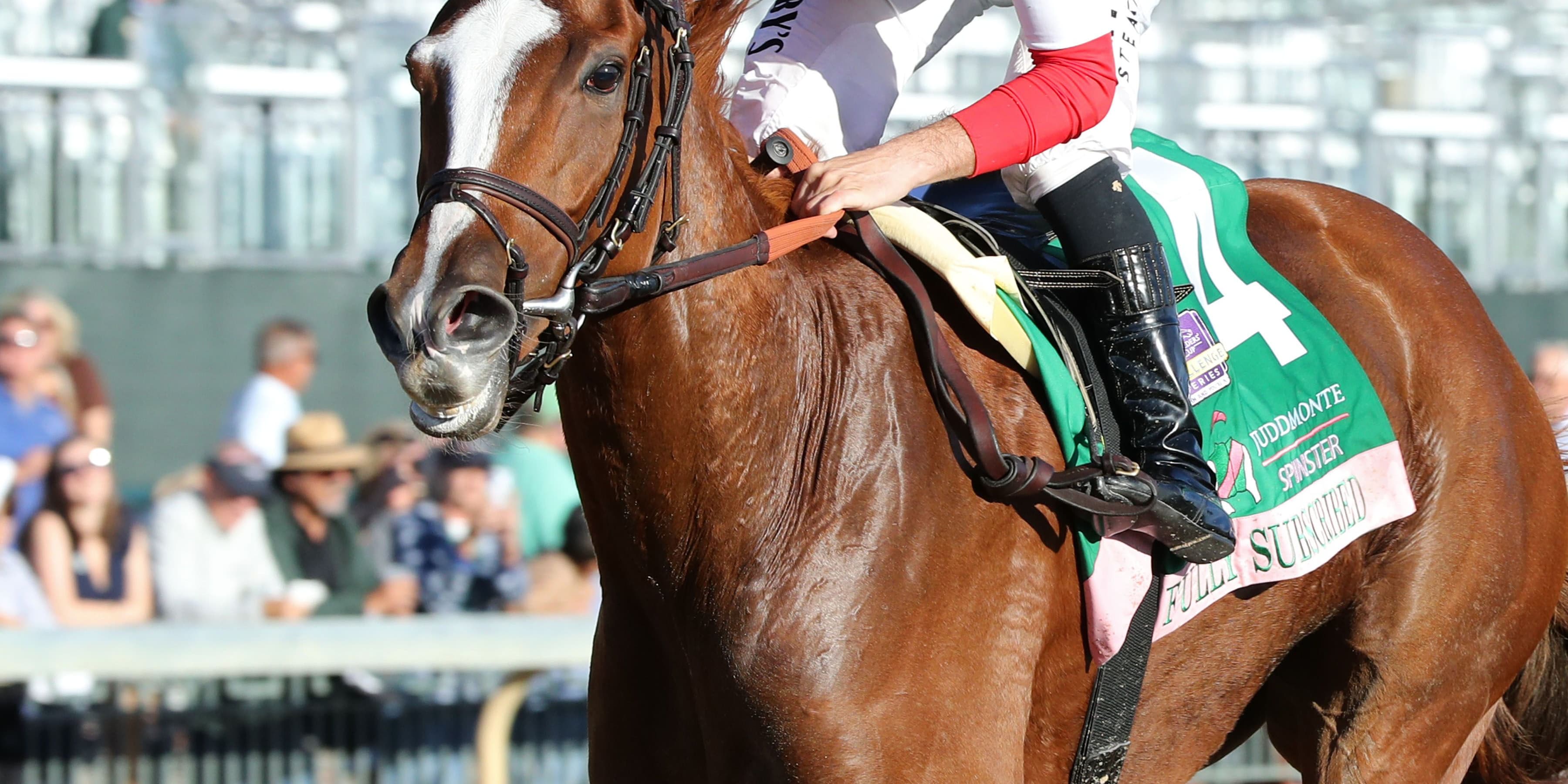 Fully Subscribed wins the Spinster (G1) at Keeneland.