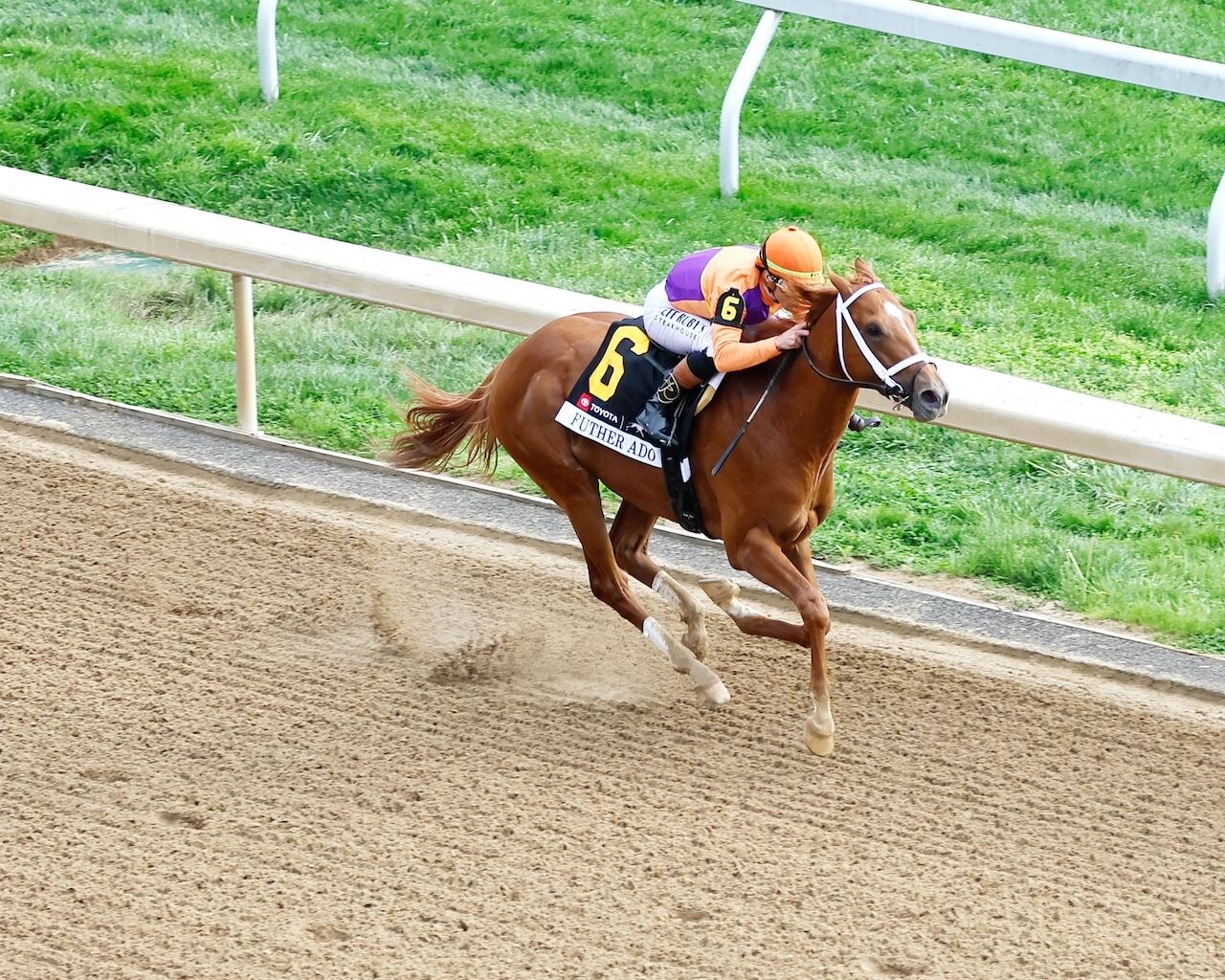 Further Ado wins the Blue Grass Stakes at Keeneland.