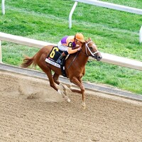 Further Ado wins the Blue Grass Stakes at Keeneland. 