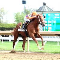 Further Ado wins the Blue Grass Stakes at Keeneland.