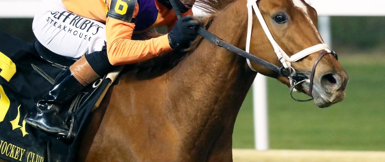Further Ado wins the Kentucky Jockey Club (G2) at Churchill Downs.