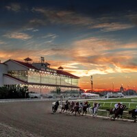 Fair Grounds racetrack grandstand racing scene sunset