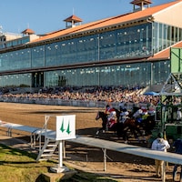 Fair Grounds racetrack grandstand racing scene (Photo by Coady Media)