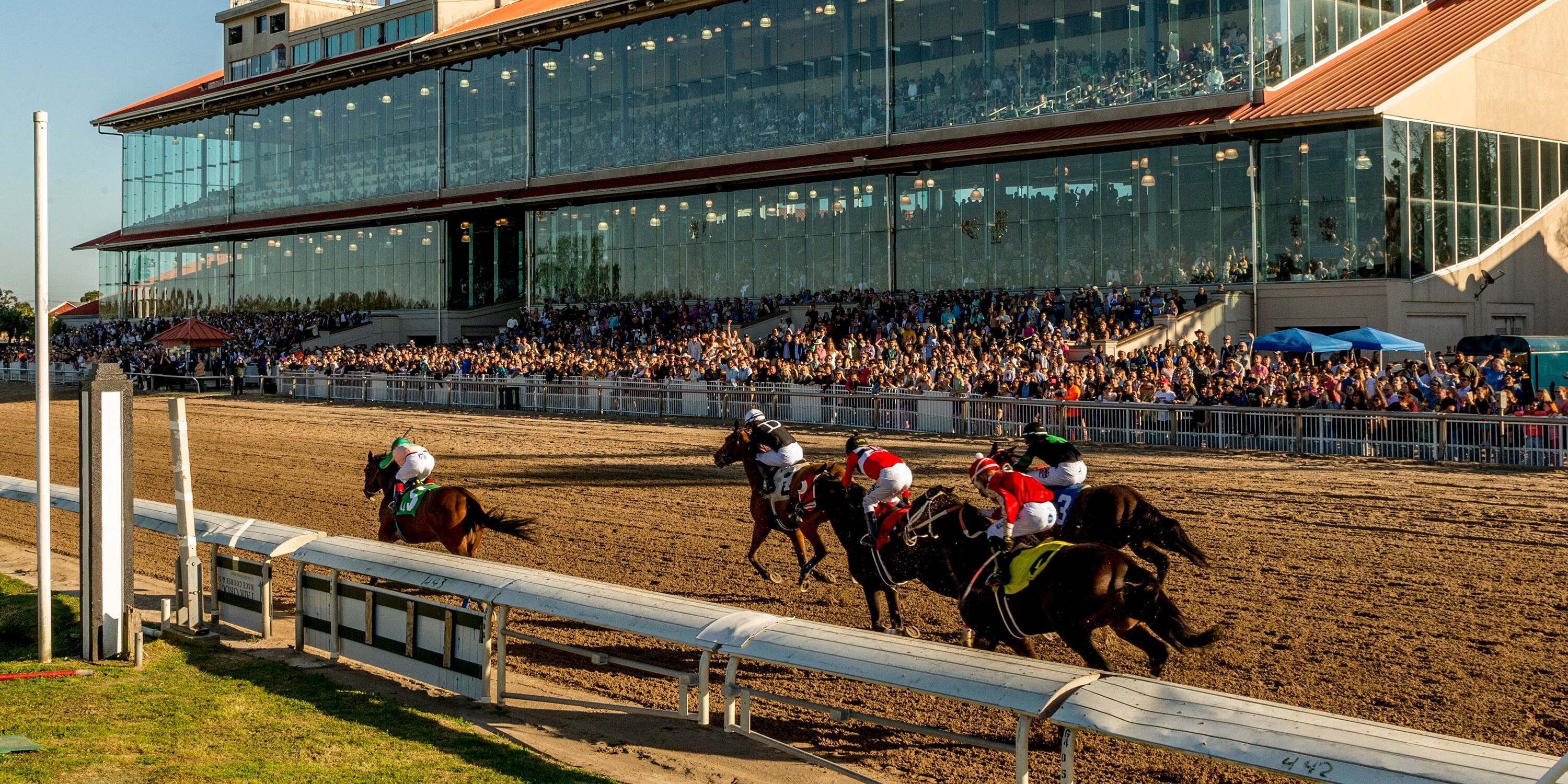 Fair Grounds racetrack grandstand racing scene.
