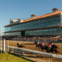 Fair Grounds racetrack grandstand racing scene.