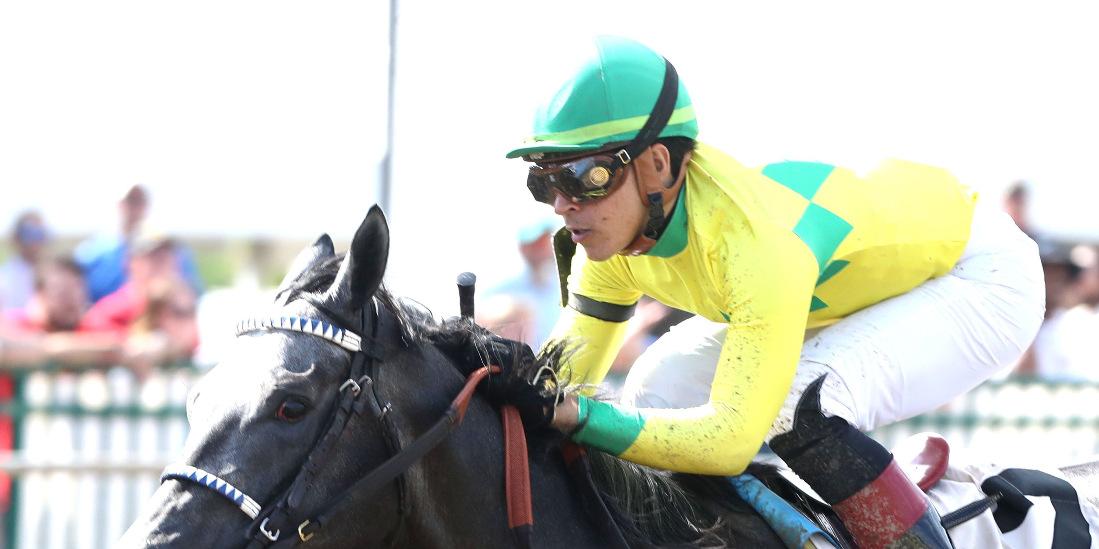 Fibber wins at Ellis Park. 