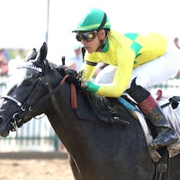 Fibber wins at Ellis Park.