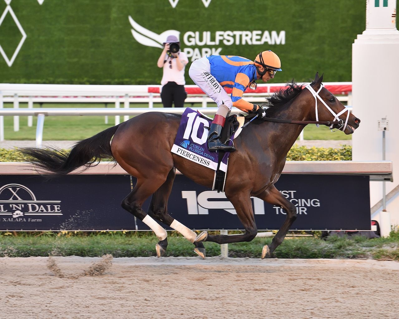 Fierceness wins the Floridia Derby at Gulfstream Park (Photo by Coglianese Photos)