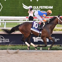 Fierceness wins the Floridia Derby at Gulfstream Park (Photo by Coglianese Photos)