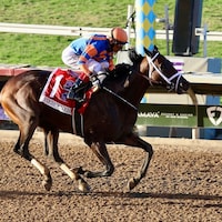 Fierceness wins the Pacific Classic at Del Mar.