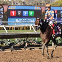 Fierceness wins the Pacific Classic at Del Mar. 