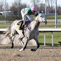 Final Gambit wins the Jeff Ruby Steaks at Turfway Park.