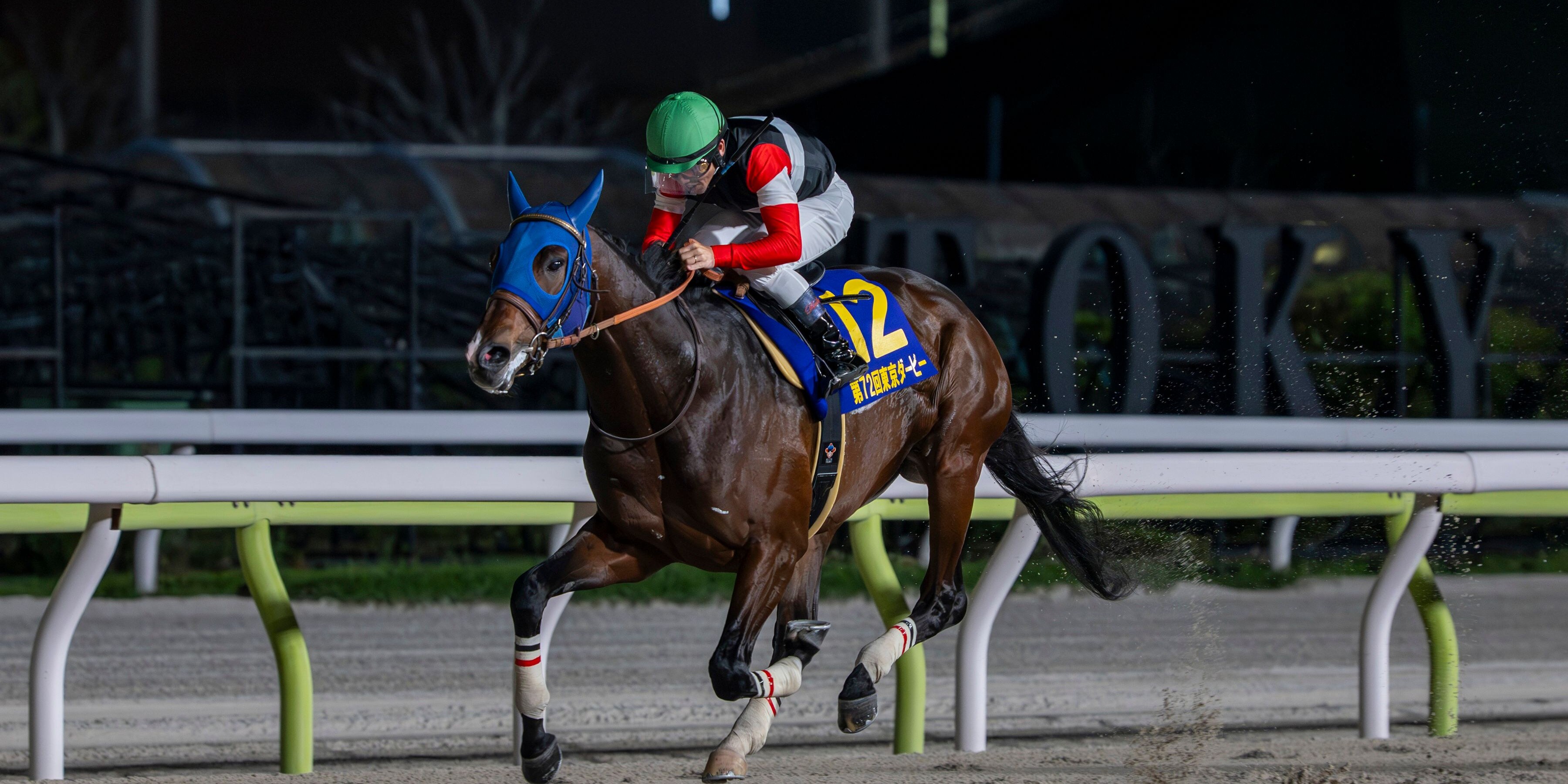 Finger wins the Tokyo Derby
