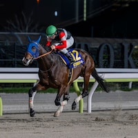 Finger wins the Tokyo Derby