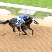 First Mission wins the Oaklawn Handicap at Oaklawn Park.