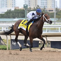 Five G wins the Gulfstream Park Oaks at Gulfstream Park.