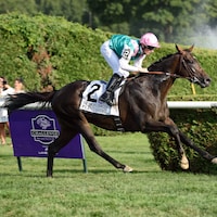 Flintshire wins the 2015 Sword Dancer (G1) for Andre Fabre