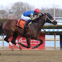 Flood Zone winning the Gotham (G3) at Aqueduct (Photo by Coglianese Photos/Janet Garaguso)