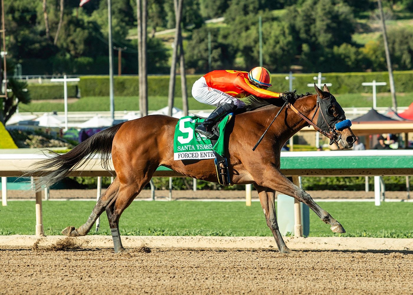 Forced Entry winning the Santa Ysabel (G3) at Santa Anita
